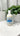 Rooted Essentials Unscented 3-in-1 Body Wash