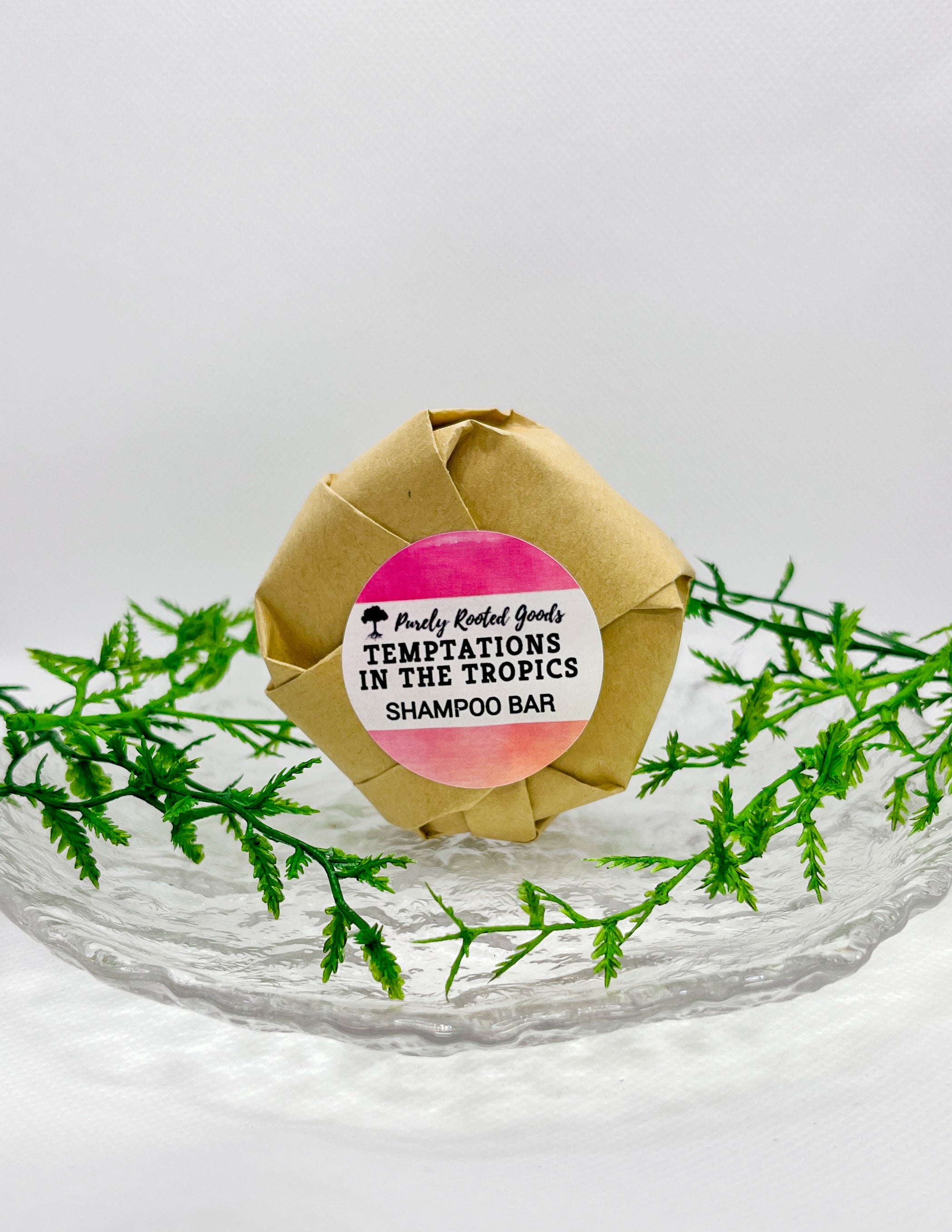 Temptations In The Tropics Shampoo Bar
