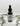 Focus Glycerite