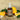 Calypso Citrus Refresher Spray