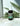 Tick + Mosquito Bug Repel | DEET-Free Spray for People + Dogs